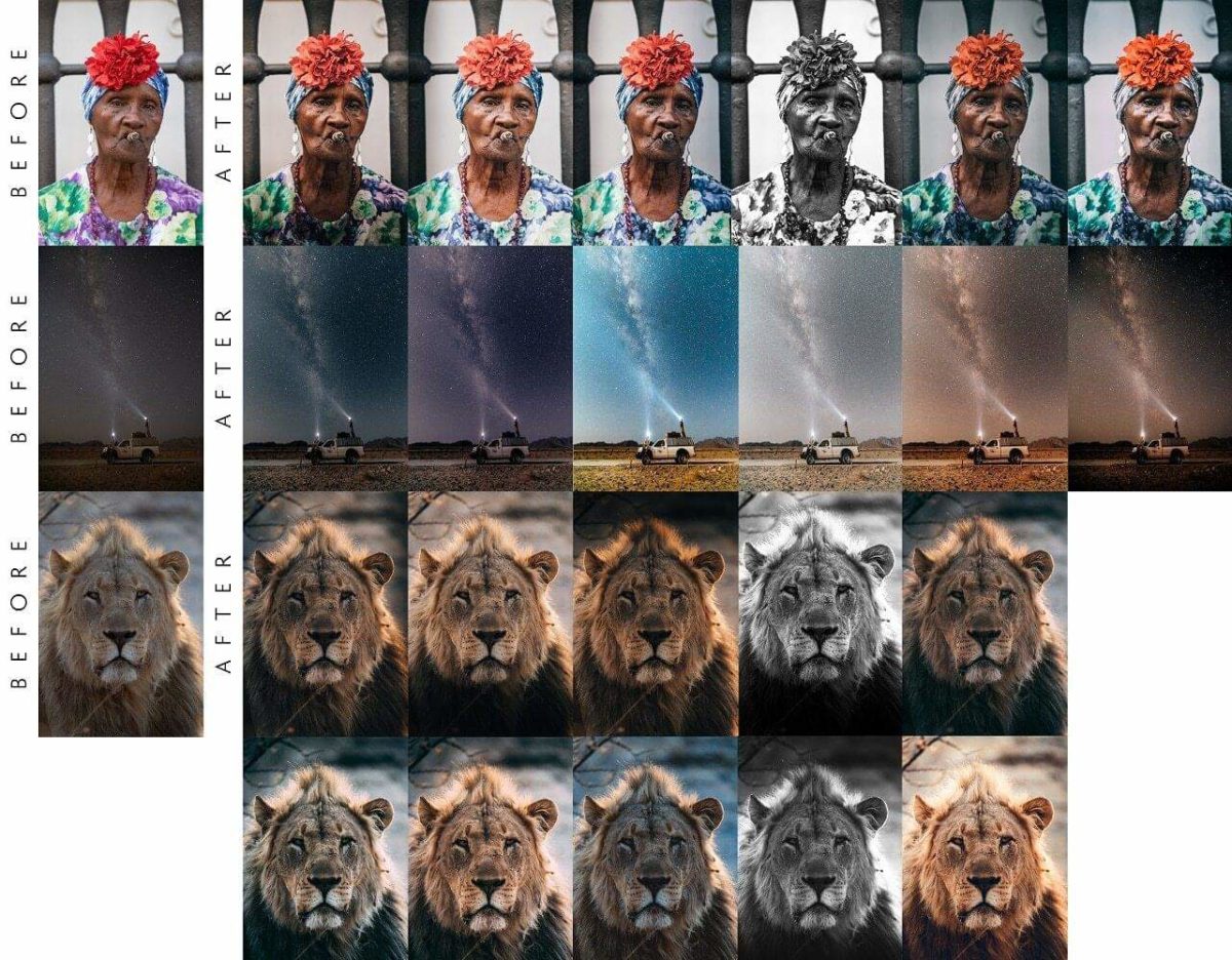 Presets Portrait Safari