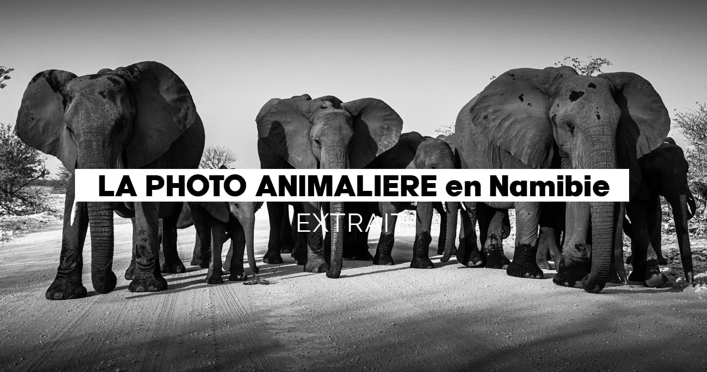 Module Photo & vidéo animalière 2