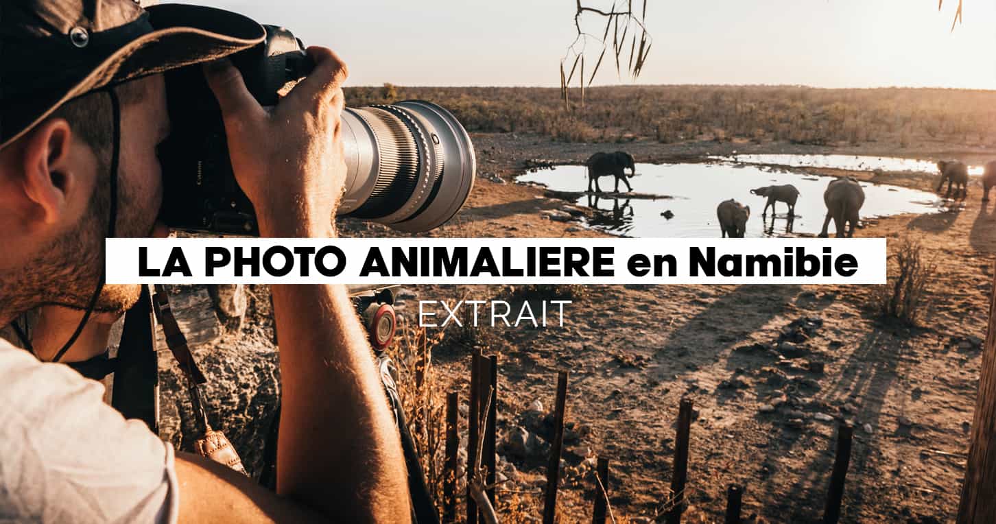 Extraits Module photo & vidéo animalière 1